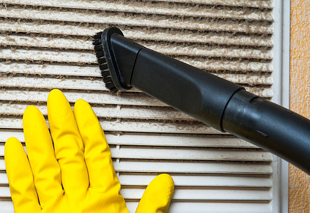 Affordable HVAC Duct Cleaning in LA